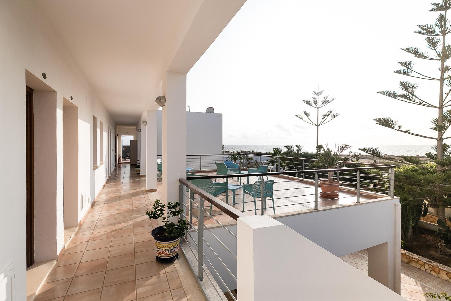 hotel cavalluccio marino